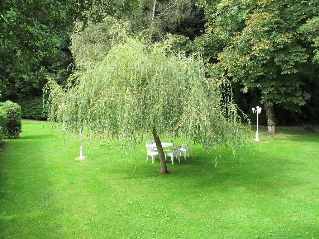 Отель Logis Deshors-Foujanet Chamboulive Экстерьер фото